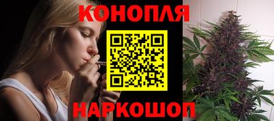 шишки Бузулук