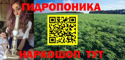 шишки Бузулук